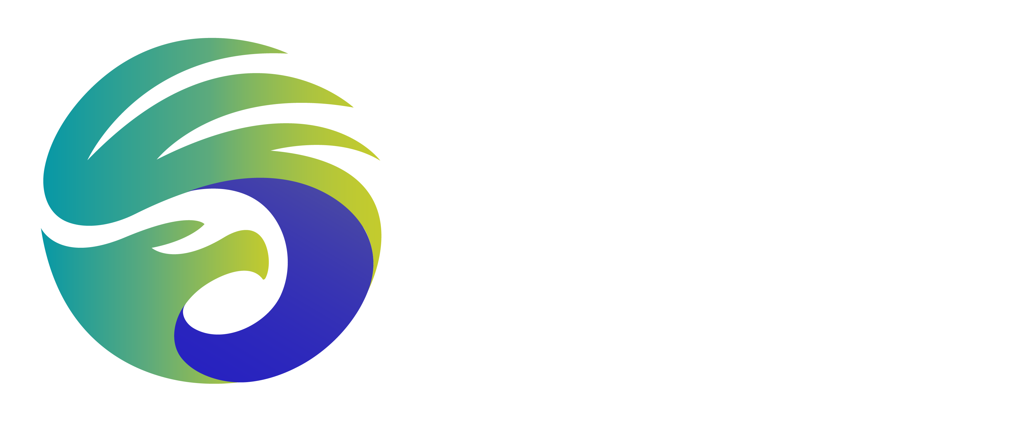 Careers Phoenix Spark